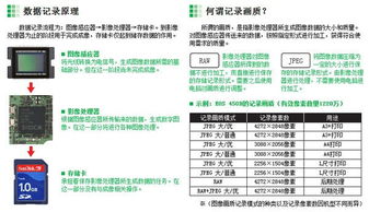 單反基礎(chǔ)知識(shí)文檔