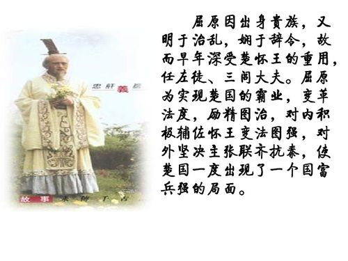 離騷必修一基礎(chǔ)知識