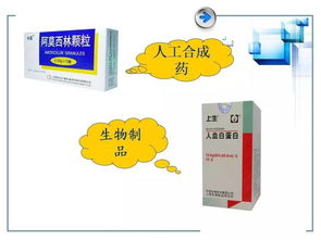 藥物基礎(chǔ)知識(shí)評(píng)價(jià)