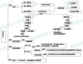 生物必修一基礎(chǔ)知識(shí),生物必修二基礎(chǔ)知識(shí),生物必修三基礎(chǔ)知識(shí)