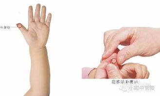 小兒推拿基礎(chǔ)知識(shí)理論,小兒推拿基礎(chǔ)知識(shí)簡介,小兒推拿基礎(chǔ)知識(shí)ppt