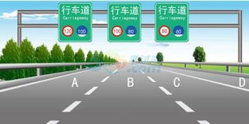 路通駕校科目一基礎(chǔ)知識(shí)