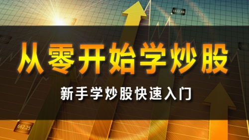 股票基礎(chǔ)知識課程