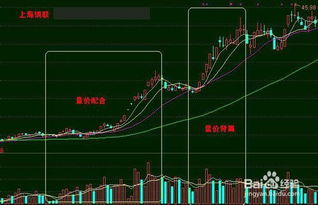 房地產(chǎn)收入及成本基礎(chǔ)知識(shí)大全