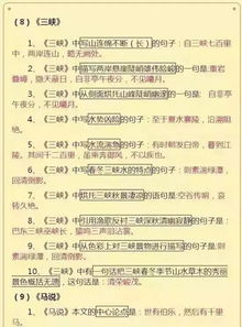 基礎知識在初中語文的重要性