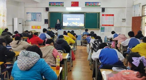 如何夯實小學生的基礎知識