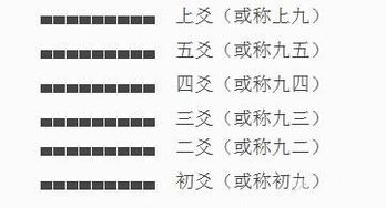 6爻基礎(chǔ)知識