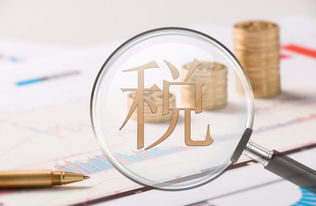 財(cái)稅基礎(chǔ)知識(shí)培訓(xùn)心得體會(huì)