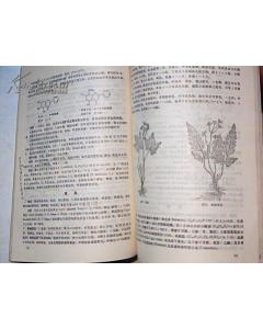 藥用植物學科的基礎知識