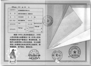 報(bào)批,理論知識(shí),管理師,報(bào)建