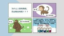 痔瘡的基礎(chǔ)知識
