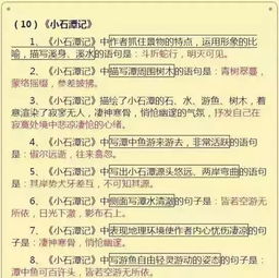 基礎(chǔ)知識(shí),學(xué)生