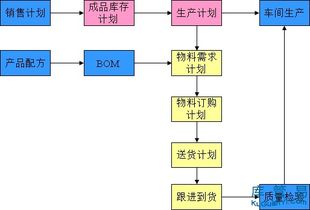 題庫(kù),基礎(chǔ)知識(shí),崗位,管理