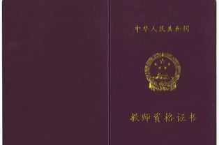 教師資格證計(jì)算機(jī)基礎(chǔ)知識(shí)