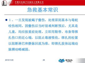 常規(guī)急救基礎(chǔ)知識(shí),急救基礎(chǔ)知識(shí)考試試題,中學(xué)生急救基礎(chǔ)知識(shí)