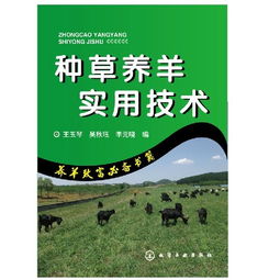 畜牧業(yè)生產(chǎn)管理的基礎(chǔ)知識