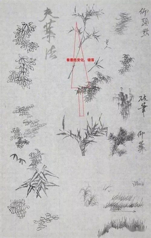 國(guó)畫(huà)基礎(chǔ)教學(xué)知識(shí)