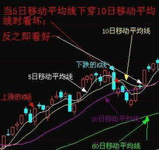 股票入門基礎(chǔ)知識(shí)問題