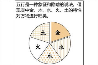 八字入門基礎(chǔ)知識(shí)教程