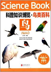 口紅分類基礎知識,芯片分類基礎知識,疤痕分類基礎知識