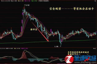 macd圖基礎(chǔ)知識