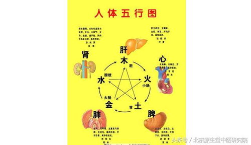 中醫(yī)藥基礎(chǔ)知識(shí)陰陽(yáng)五行學(xué)說(shuō)