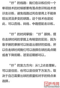 乒乓球,基礎(chǔ)知識(shí),理論