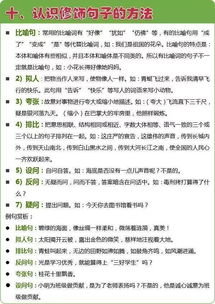 語文基礎(chǔ)知識(shí)課外班