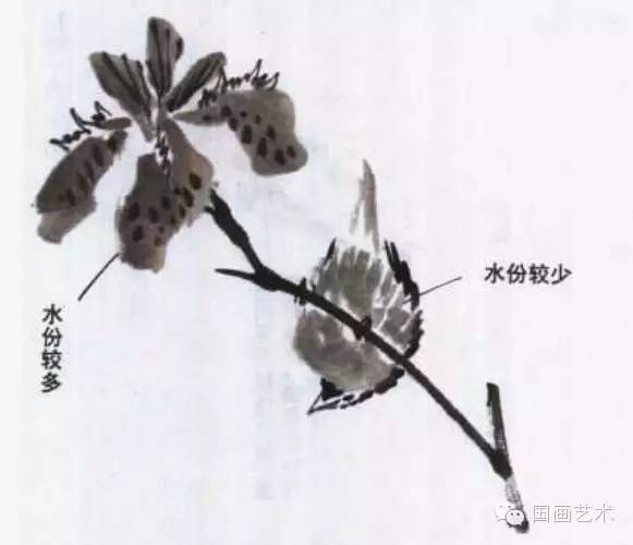 寫(xiě)意畫(huà)鳥(niǎo)基礎(chǔ)知識(shí)