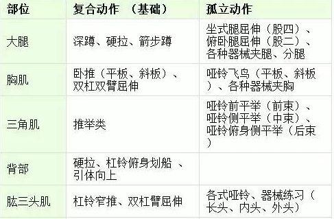身體基礎(chǔ)知識(shí)