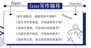 經(jīng)濟(jì)學(xué)專業(yè)學(xué)科基礎(chǔ)知識(shí)