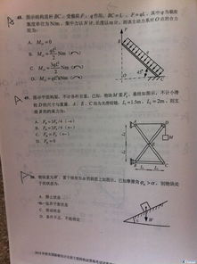 生活環(huán)?；A(chǔ)知識(shí)試題