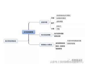 金融市場基礎(chǔ)知識思維導(dǎo)圖,教育基礎(chǔ)知識思維導(dǎo)圖,工程材料基礎(chǔ)知識思維導(dǎo)圖