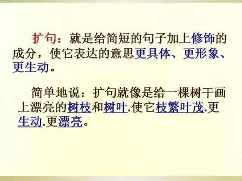 語(yǔ)文基礎(chǔ)及寫(xiě)作基礎(chǔ)知識(shí)