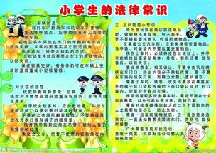 小學(xué)法律基礎(chǔ)知識