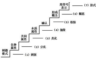 數(shù)學(xué)中的基礎(chǔ)知識(shí)概念