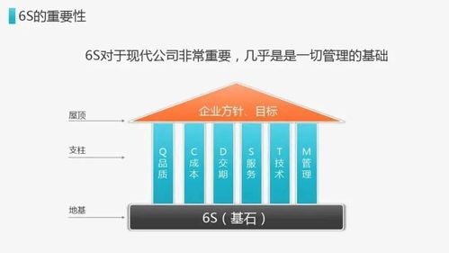 新民化纖6s基礎(chǔ)知識(shí)