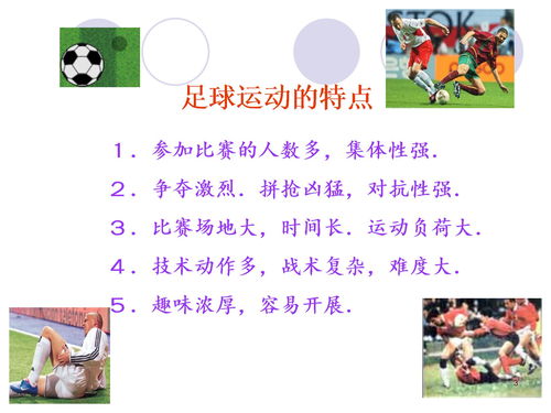 小學籃球基礎知識ppt,PPT基礎知識課件,皮膚基礎知識課件PPT
