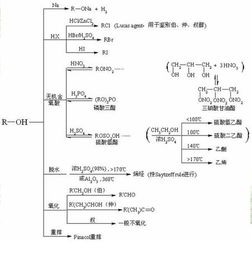 高中有機化學(xué)基礎(chǔ)知識,有機化學(xué)實驗基礎(chǔ)知識,有機化學(xué)基礎(chǔ)知識整理