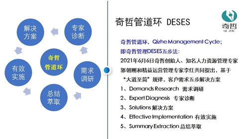 基礎(chǔ)知識(shí),企業(yè)