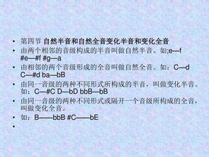 小學(xué)階段的樂(lè)理基礎(chǔ)知識(shí)教案