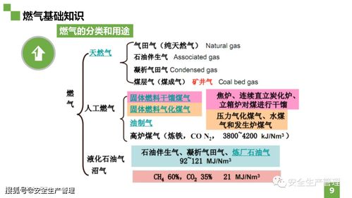 地震應(yīng)急救援基礎(chǔ)知識(shí),應(yīng)急救援基礎(chǔ)知識(shí)試題,應(yīng)急救援基礎(chǔ)知識(shí)書(shū)籍
