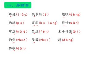 人教版四年級上冊語文基礎知識,人教版五年級下冊語文基礎知識歸納,人教版四年級上冊語文基礎知識專項