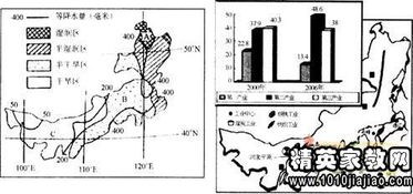 基礎(chǔ)知識,煤礦,理論,組織
