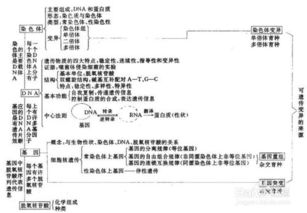 高中各科基礎(chǔ)知識(shí)如何學(xué)好