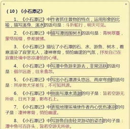 怎樣訓(xùn)練孩子的語文基礎(chǔ)知識