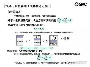 科目一理論基礎(chǔ)知識(shí)大全,駕考科目一理論基礎(chǔ)知識(shí),科目一的基礎(chǔ)知識(shí)