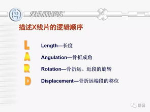 骨科基礎(chǔ)知識(shí)考試
