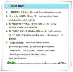 總匯,基礎(chǔ)知識,小學(xué)英語