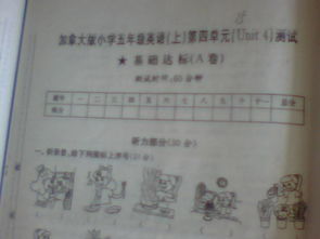 五級(jí),基礎(chǔ)知識(shí),試卷,答案